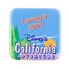 Image 7 : A California Adventure Opening Team Memorabilia.