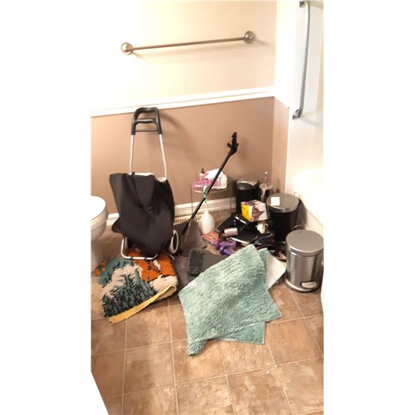 Bathroom & More Cat A