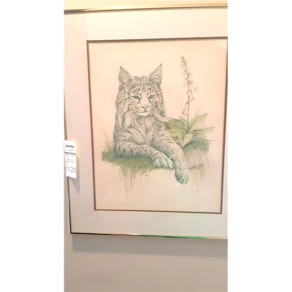 Signed Art Cat A