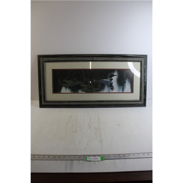 Loon Picture - 34" x 16 1/2"