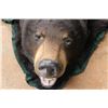 Image 2 : *Black Bear Rug with Claws - Some Damage, 64" from Tail to Nose (Saskatchewan Only -No Out of Provin