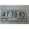 Image 3 : License Plate - British Columbia