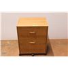 Image 1 : * Small Filing Cabinet on Wheels - 16" x 20" x 26"