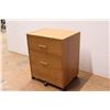 Image 5 : * Small Filing Cabinet on Wheels - 16" x 20" x 26"