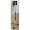 Image 1 : Activator Set Of Walking Poles - Professional Edition & Adjustable