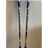Image 2 : Activator Set Of Walking Poles - Professional Edition & Adjustable