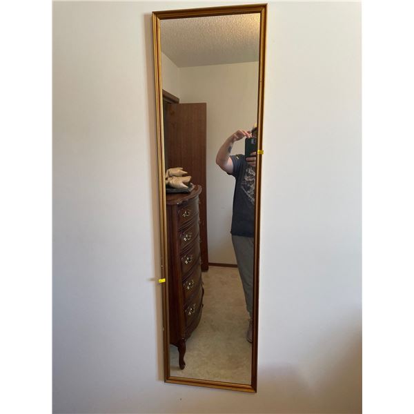 Vintage Retro Mirror 13.5Lx48H
