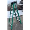 Image 3 : Werner Excellent Used Condition Tradesman Ladder - 225lbs Capacity, 6FT In Height