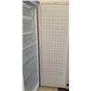 Image 6 : BRADA Stand Front Opening Freezer Model # MF-305      24Lx22Dx69H