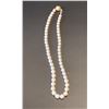 Image 1 : FRESHWATER PEARL NECKLACE