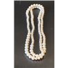 Image 1 : PEARL NECKLACE