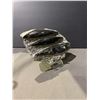 Image 3 : 6.5" ORTHOCERAS FOSSIL SPECIMEN RETAIL $680