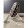 Image 2 : ORTHOCERAS FOSSIL SPECIMEN RETAIL $800