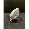 Image 3 : ORTHOCERAS FOSSIL SPECIMEN RETAIL $480