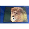 Image 1 : LARGE CANVAS PRINT OF LION 55" X 39"