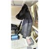Image 3 : CELESTRON SKY WATCHER TELESCOPE WITH TRIPOD, CASE AND MORE