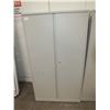 2 Door Metal Storage Cabinet