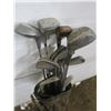 Image 2 : golf clubs in bag