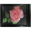 Image 5 : three framed pictures and a brass etched rose imprint