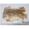 Image 3 : Brown rabbit fur pelt - 18" long