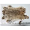 Image 1 : Brown rabbit fur pelt - 17.5" long