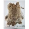 Image 3 : Brown rabbit fur pelt - 17.5" long