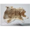 Image 1 : Brown rabbit fur pelt - 16" long