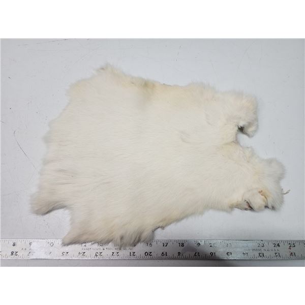 White rabbit fur pelt - 16  long