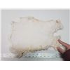 Image 2 : White rabbit fur pelt - 16" long