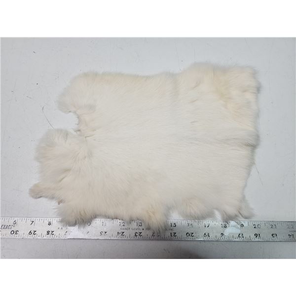 White rabbit fur pelt - 14.5  long