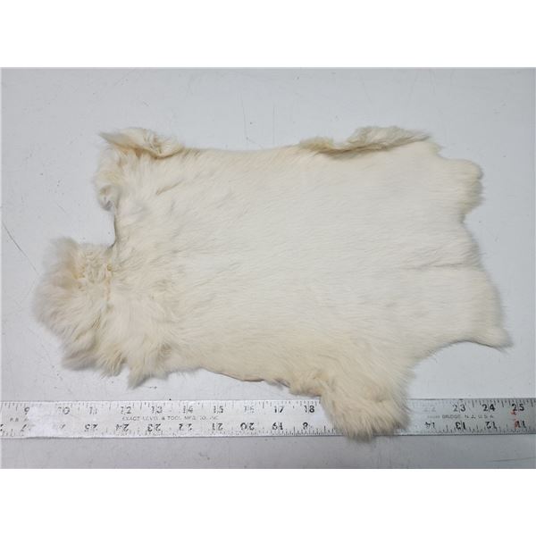 White rabbit fur pelt - 17  long