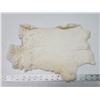 Image 1 : White rabbit fur pelt - 17" long