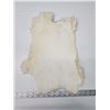 Image 3 : White rabbit fur pelt - 17" long