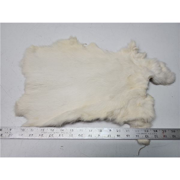 White rabbit fur pelt - 18  long