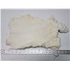 Image 1 : White rabbit fur pelt - 18" long