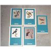Image 1 : 5 Vintage Bird Prints by Canadian Bird Artist Fenwick Lansdowne