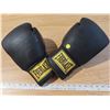 Image 1 : Everlast boxing traning gloves black -16, 16