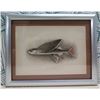 Image 1 : Flying Fish Malolo 1905 Lithograph, Framed, 14"x11"