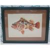 Image 1 : Fishes of Hawaii 'Nohu' 1905 Chromolithograph, Framed, 14"x11"