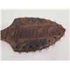 Image 2 : Koa Wood Replica of Historic Weapon w/ Shark Teeth Tied into Edges 28"L