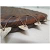 Image 8 : Koa Wood Replica of Historic Weapon w/ Shark Teeth Tied into Edges 28"L