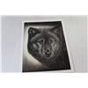 Image 3 : Assortment of Soft Cover Books - Novels, Doll, Wolf Picture