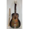 Image 1 : PALM BEACH PARLOR GUITAR