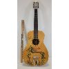 Image 1 : PALM BEACH PARLOUR GUITAR W/ CASE