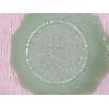 Image 5 : LOT OF 7 - FIRE KING JADEITE TEA CUP, SUGAR BOWL W/ LID & CANDY DISH, ETC. 