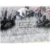 Image 2 : FRAMED CANADIAN ARTIST CATHERINE