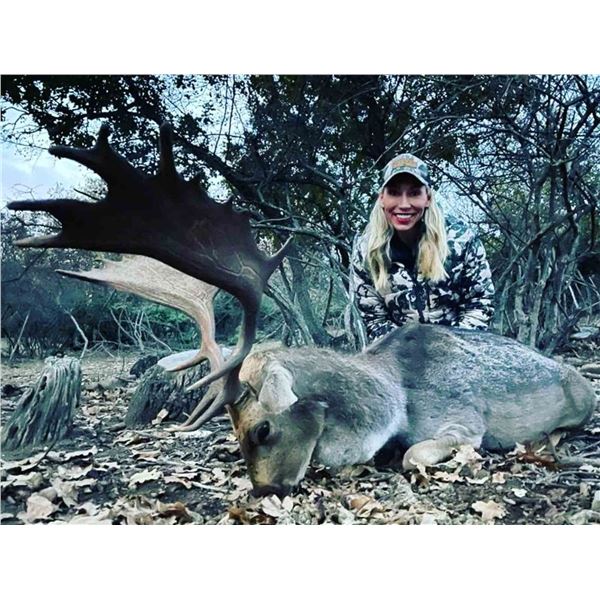 5 Day Trophy Fallow Deer hunt in Macedonia with Safari International 1 Hunter 1 non hunter