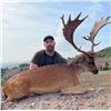 Image 4 : 5 Day Trophy Fallow Deer hunt in Macedonia with Safari International 1 Hunter 1 non hunter