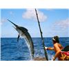 Image 3 : Cabo Sport Fishing 4 Nights for 4 adults All-inclusive