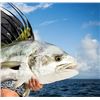 Image 4 : Cabo Sport Fishing 4 Nights for 4 adults All-inclusive